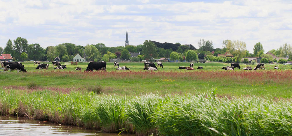 Herschikking vastgoedportefeuille, Noord-Holland